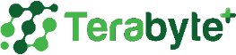 บมจ. เทอร์ราไบท์พลัส (TERA) logo
